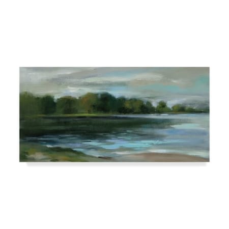 Silvia Vassileva 'Late Afternoon Stillness Crop' Canvas Art,10x19